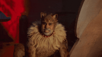 Jason Derulo Cat GIF by Cats Movie