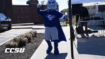 Kaiser Ccsu GIF by Central Connecticut State University