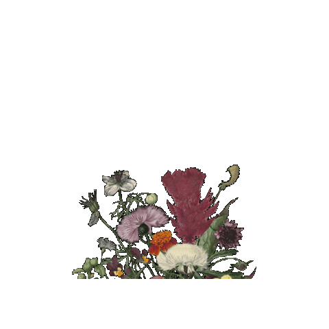 Flowers for you GIF showing a hand presenting flowers