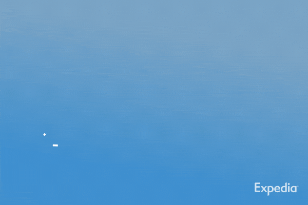 Travel GIF by Expedia - Find & Share on GIPHY