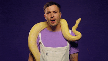 200.gif?cid=fc005b089114f0994911e9269983f94fb633e1369f587c76&rid=200.gif&ct=g