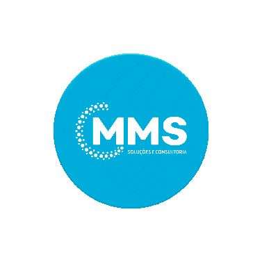 MMS Soluções e Consultoria Sticker