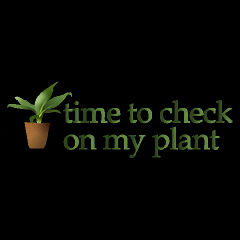 Plant GIF by Dutchpro Nutrients
