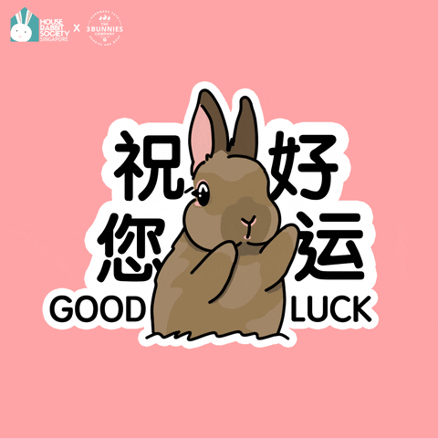 Chinese New Year Good Luck GIF by the3bunnies.co