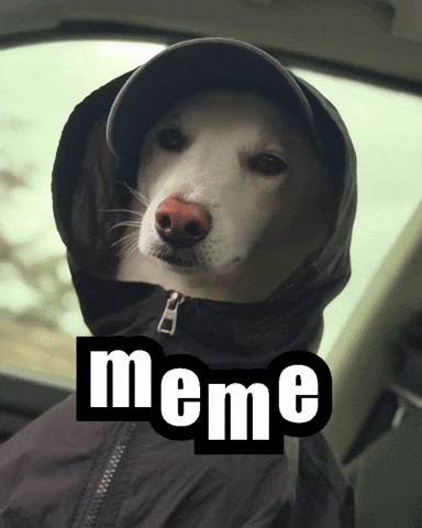 Jindo GIF