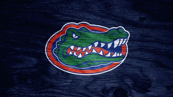 March Madness Florida GIF by Sports Card Investor