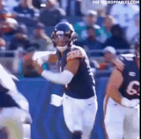 Chicago Bears Nfl GIF by The Undroppables