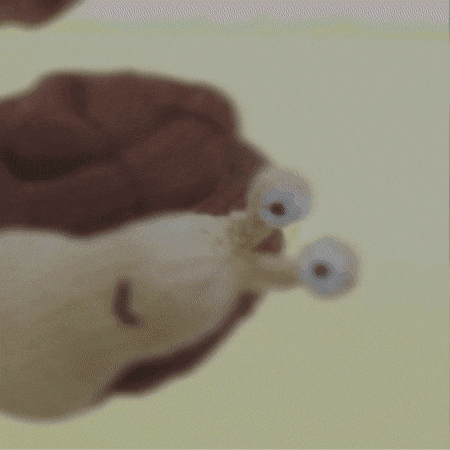 Bubbles Snail GIF by TeaCosyFolk
