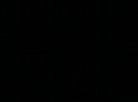 Selection Living On The Edge GIF