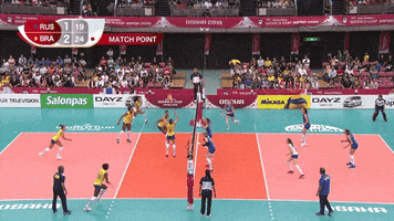 Match Point Smile GIF by Volleyball World