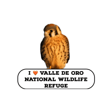 New Mexico Birds Sticker by U.S. Fish and Wildlife Service