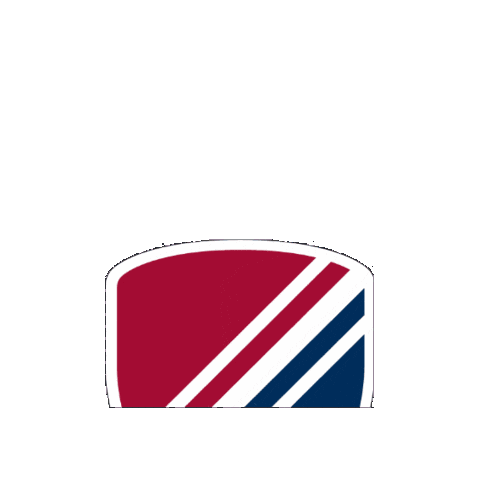 Dexter Southfield Sticker