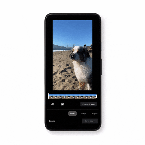 Animated GIF - Find & Share on GIPHY