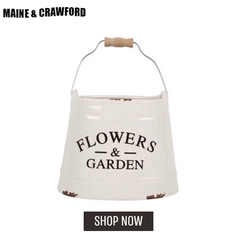Grow Ceramic Flower Pot Planter GIF