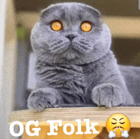Og Folk GIF