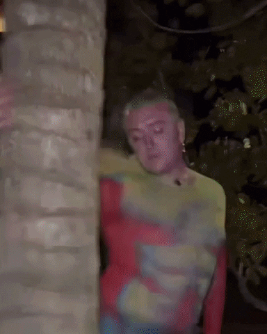 giphy.gif?cid=5e214886876eea82ab444caf33