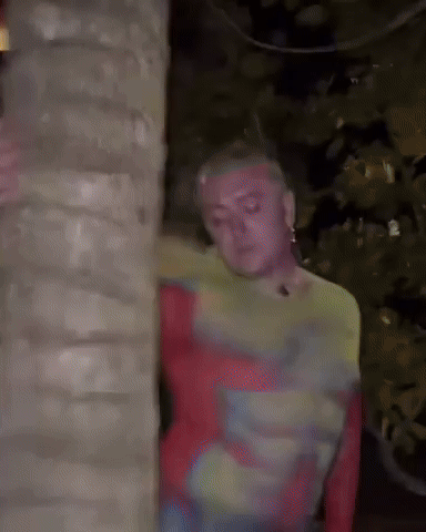 giphy.gif?cid=790b761185c1a4c38e03b21f41