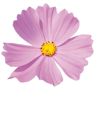 Fattoria delle Erbe Sticker