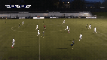 slippish  GIF
