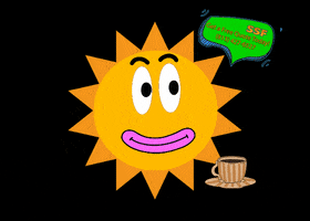 Coffee Sun GIF by Solar Saves Florida
