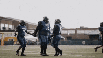 Chest Bump Tackle Football GIF by Women's National Football Conference