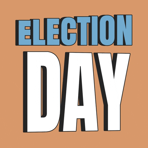 Voting Election Day GIF by Ishmael Arias Pinto