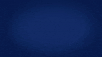 GIF by Attractiepark Toverland