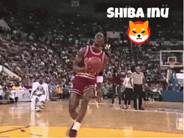 Shiba GIF by SHIB MEMES