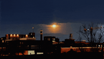 Night Lights Bright Moon GIF