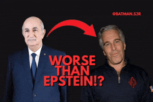 Epstein Algeria GIF