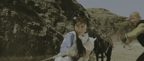 The Shaolin Temple GIF