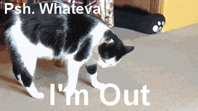 Cat Whatever GIF