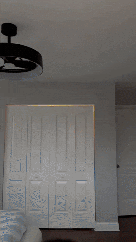 Chicago Assyrian GIF by Salem's Vision