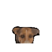 CronopioCreativo Sticker