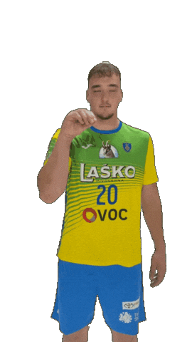 Handball Move Sticker by RK CELJE