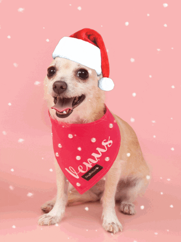 Snow GIF