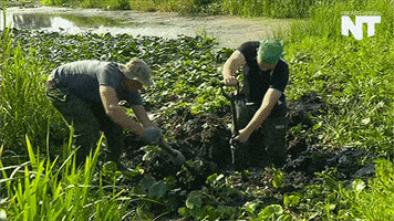 war news GIF by NowThis 