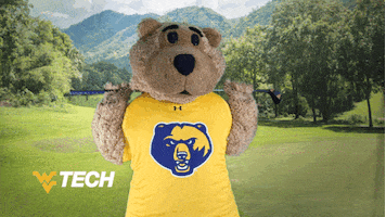 Golfing West Virginia GIF by WVU Tech Golden Bears