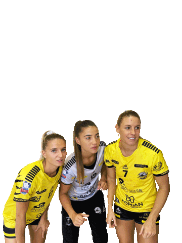 HANDBALL PLAN DE CUQUES Sticker