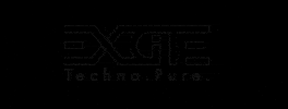 Party Techno GIF by EXCiTE