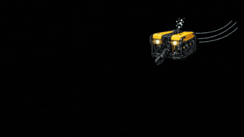 Underwater GIF