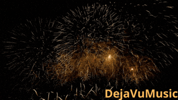 Happy New Year Radio GIF