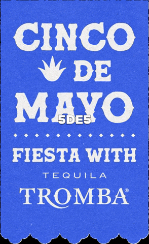 GIF by Tequila Tromba