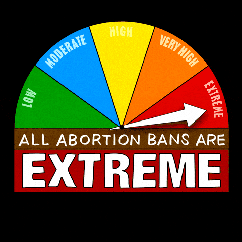 All abortion bans are extreme