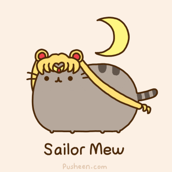 sailor moon neko kawaii GIF