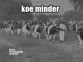 Ko GIF by Fries Film & Audio Archief