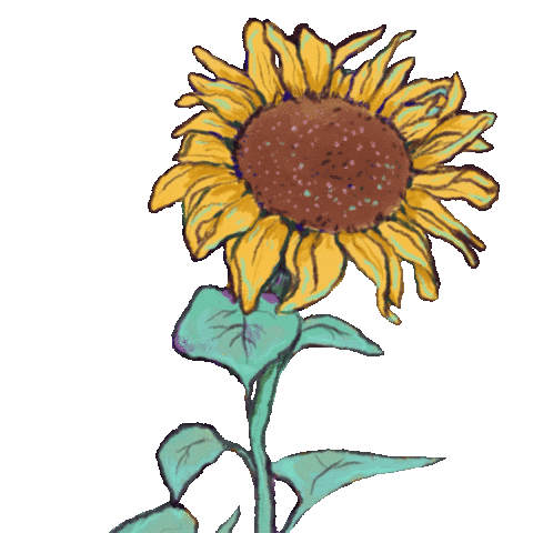 Flower Sun Sticker by awfultune