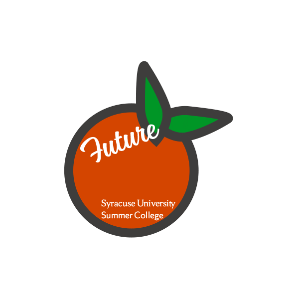 Susummercollege Susummer Sticker by Syracuse University Summer College