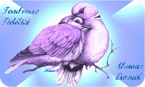 amour
