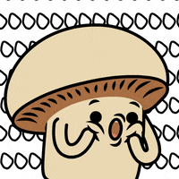 Shocked No Way GIF by mushroommovie